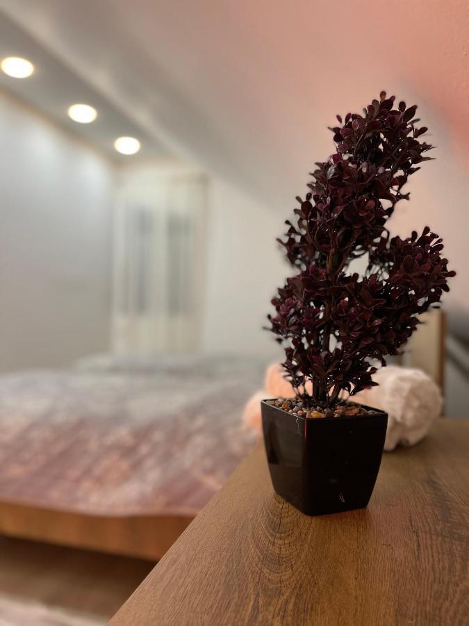 Luna Apartment Нови пазар Екстериор снимка